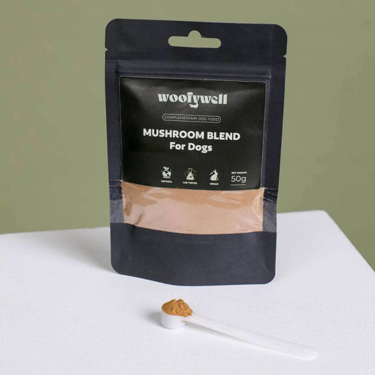 Medicinal Mushroom Blend for Dogs