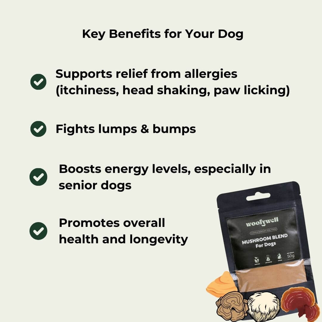 Medicinal Mushroom Blend for Dogs